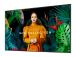 DISPLAY LCD 55" QB55C/LH55QBCEBGCXEN SAMSUNG