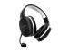 HEADSET GXT 391 THIAN WRL/24502 TRUST