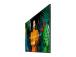DISPLAY LCD 55" QB55C/LH55QBCEBGCXEN SAMSUNG
