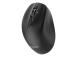 MOUSE USB OPTICAL WRL/MUSW2-6B-02 GEMBIRD