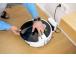 VACUUM CLEANER ROBOT/RVF 7 1.269-680.0 KARCHER
