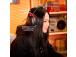 HEADSET HYPERX CLOUD III S WRL/WL BK GAM A59YZAA HYPERX