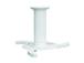PROJECTOR ACC CEILING MOUNT/BEAMER-C80WHITE NEOMOUNTS
