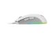 MOUSE USB OPTICAL GAMING/CLUTCH GM11 WHITE MSI