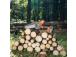 CHAINSAW CORDLESS 20CM 21V/DACS 821LI SET DAEWOO