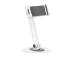 TABLET ACC STAND WHITE/DS15-540WH1 NEOMOUNTS