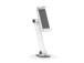 TABLET ACC STAND WHITE/DS15-540WH1 NEOMOUNTS