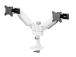 MONITOR ACC DESK MOUNT 24-34''/DUAL DS65S-950WH2 NEOMOUNTS