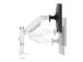 MONITOR ACC DESK MOUNT 24-34''/DUAL DS65S-950WH2 NEOMOUNTS