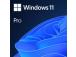Software MICROSOFT Win 11 Pro 64Bit Eng Intl 1pk DSP OEI DVD Win Pro OEM English FQC-10528