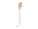 ELECTRIC TOOTHBRUSH ACC HEAD/HX9092/87 PHILIPS
