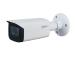 NET CAMERA 5MP IR BULLET/IPC-HFW2541T-ZAS27135S2 DAHUA