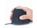 MOUSE USB OPTICAL SPACEGREY/ERGONOMIC MUS-ERGO-03 GEMBIRD