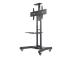 TV SET ACC FLOOR STAND BLACK/32-75" NM-M1700BLACK NEOMOUNTS