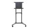 TV SET ACC FLOOR STAND/37-70" NS-M1250BLACK NEOMOUNTS