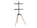 TV SET ACC FLOOR STAND 32-65"/TRIPOD TVS-65S-01 GEMBIRD