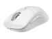 MOUSE USB OPTICAL WRL GAMING/VERSA 300 W WHITE MSI