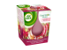 Lõhnaküünal AIR WICK Classic Berry Blossom 105g
