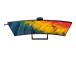 PHILIPS 39.7inch IPS Curved Monitor