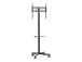 GEMBIRD TV floor stand w caster wheels