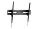 GEMBIRD TV wall mount tilt 43-100