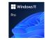 MS ESD Win Pro 11 64-bit
