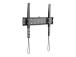 GEMBIRD TV wall mount fixed 32-55i