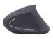 GEMBIRD MUSW-ERGO-01 Ergonomic mouse