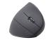 GEMBIRD MUSW-ERGO-01 Ergonomic mouse