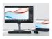 ASUS PA248QFV 24.1inch IPS Monitor