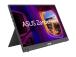 ASUS MB16FC 16inch IPS Monitor