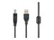 GEMBIRD CCF-USB2-AMBM-6 Gembird USB 2.0