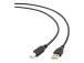 GEMBIRD CCP-USB2-AMBM-6 Gembird USB 2.0