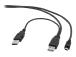 GEMBIRD CCP-USB22-AM5P-3 Gembird Dual US
