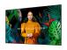 SAMSUNG QH98C 98inch UHD/4K 16:9 LED