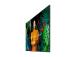 SAMSUNG QH98C 98inch UHD/4K 16:9 LED
