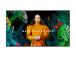 SAMSUNG QH98C 98inch UHD/4K 16:9 LED