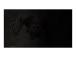 NATEC NFP-1474 Natec Privacy Filter RODO