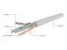 GEMBIRD UPC-6004-L/100 Gembird UTP stran