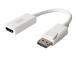 UNITEK Y-6332 Unitek Adapter DisplayPort