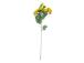 Kunstlill FLOWERLY "Ranunculus" õisi 12tk, mix