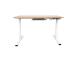 Reguleeritav laud ERGO 1-mootoriga 120x60xH73-121cm, valge/tamm