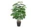 Kunstpuu MONSTERA, H120cm, 5 tüvega, must pott