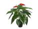 Kunsttaim ANTHURIUM, H45cm, flamingolill, must pott