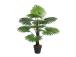 Kunstpuu FAN PALM, H100cm