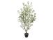 Kunstpuu WIND OLIVE H130cm