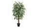 Kunstpuu WIND FICUS H150cm
