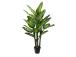 Kunsttaim WIND DIEFFENBACHIA H150cm
