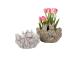 Lillepoti ümbris FLOPSY 19x18,5xH14cm, pesa