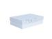 Box ELSA 27,5x19,5x7,5cm, with a lid kuld/hõbe, white
